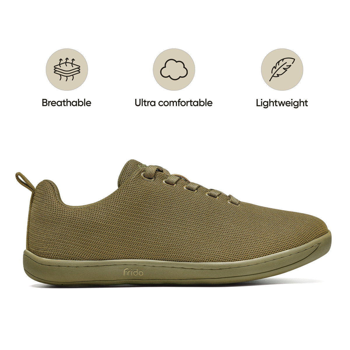 Olive — olive_CS_01B_3.jpg