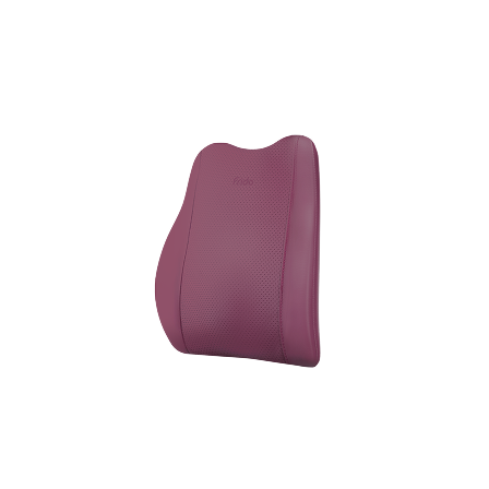 Frido Premium Car Back Rest Cushion