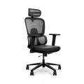 Frido AeroMesh Ergo Chair
