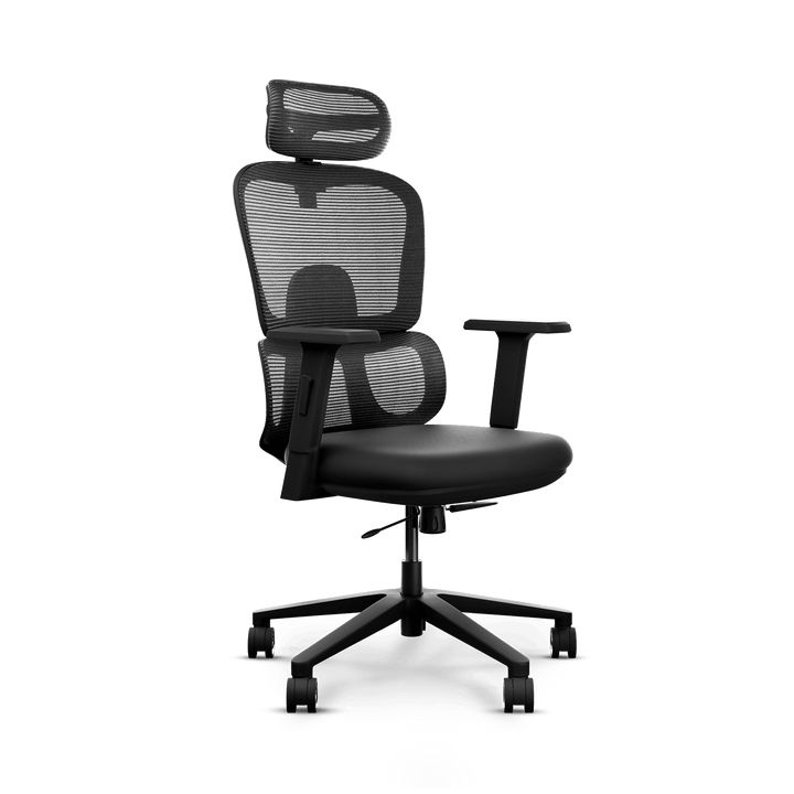 Frido AeroMesh Ergo Chair