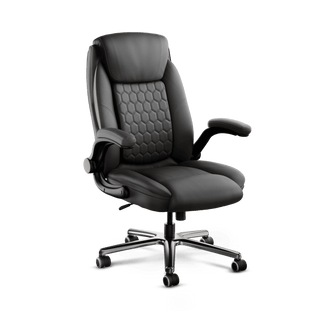 Frido 3D Posture Plus Ergonomic Chair