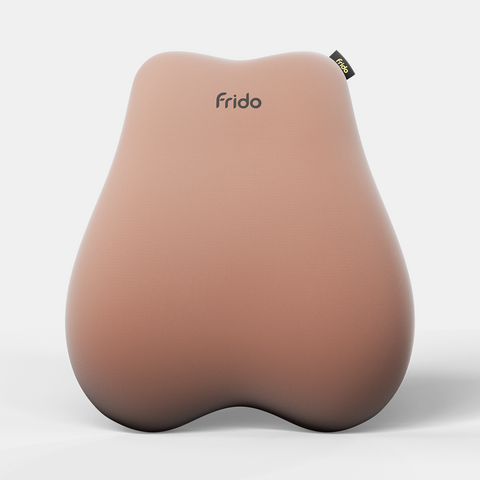 Frido Cloud Backrest Cushion