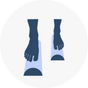 Balance & Stability Training
