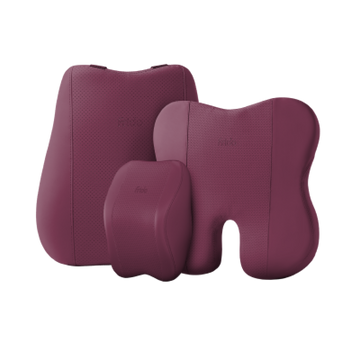 Frido Ergoluxe Car Comfort Combo